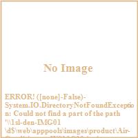 Friedrich WS10C30
