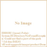 Donner R101CH