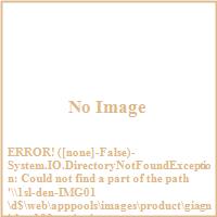 Giagni KPC100-PC
