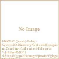 Giagni KPC100-SS