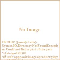 Ginger G45-001