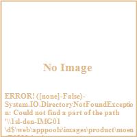 Moen T6530