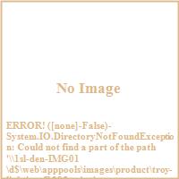 Troy Lighting F1285SG