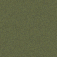 Fabric Color Terrace Fern