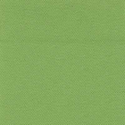 Fabric Color Lime