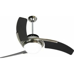 Ceiling Fans
