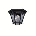 Trenton - 2 light Outdoor Flush Mount - 7.25 inches tall by 10.75 inches wide - 21443