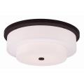 Meridian - 4 Light Flush Mount in Meridian Style - 21.5 Inches wide by 8 Inches high - 443990