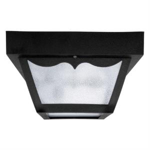 10 Inch 2 Light Outdoor Flush Mount - in Traditional style - 10 high by 5 wide