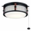 380949AUB - 17W 1 LED Etched Cased Opal Caged Light Kit - Auburn Stained Finish