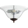 1157-4486 - 13W 2 LED Clear Bowl Light Kit - Oiled Bronze Finish