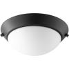 1504-869 - 18W 2 LED Satin Opal Light Kit - Noir Finish