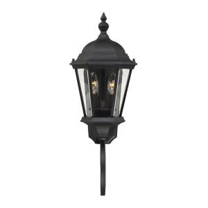 2 Light Outdoor Wall Lantern-Traditional Style with Transitional Inspirations-24.75 inches tall by 9.25 inches wide